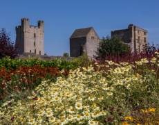 Helmsley Walled Garden Helmsley Walled Garden